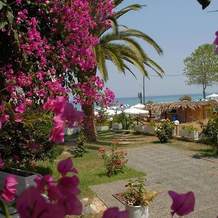 Paradise Tsilivi (Zakynthos)